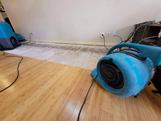 Professional Water Damage Repair technician working in El Nido, CA